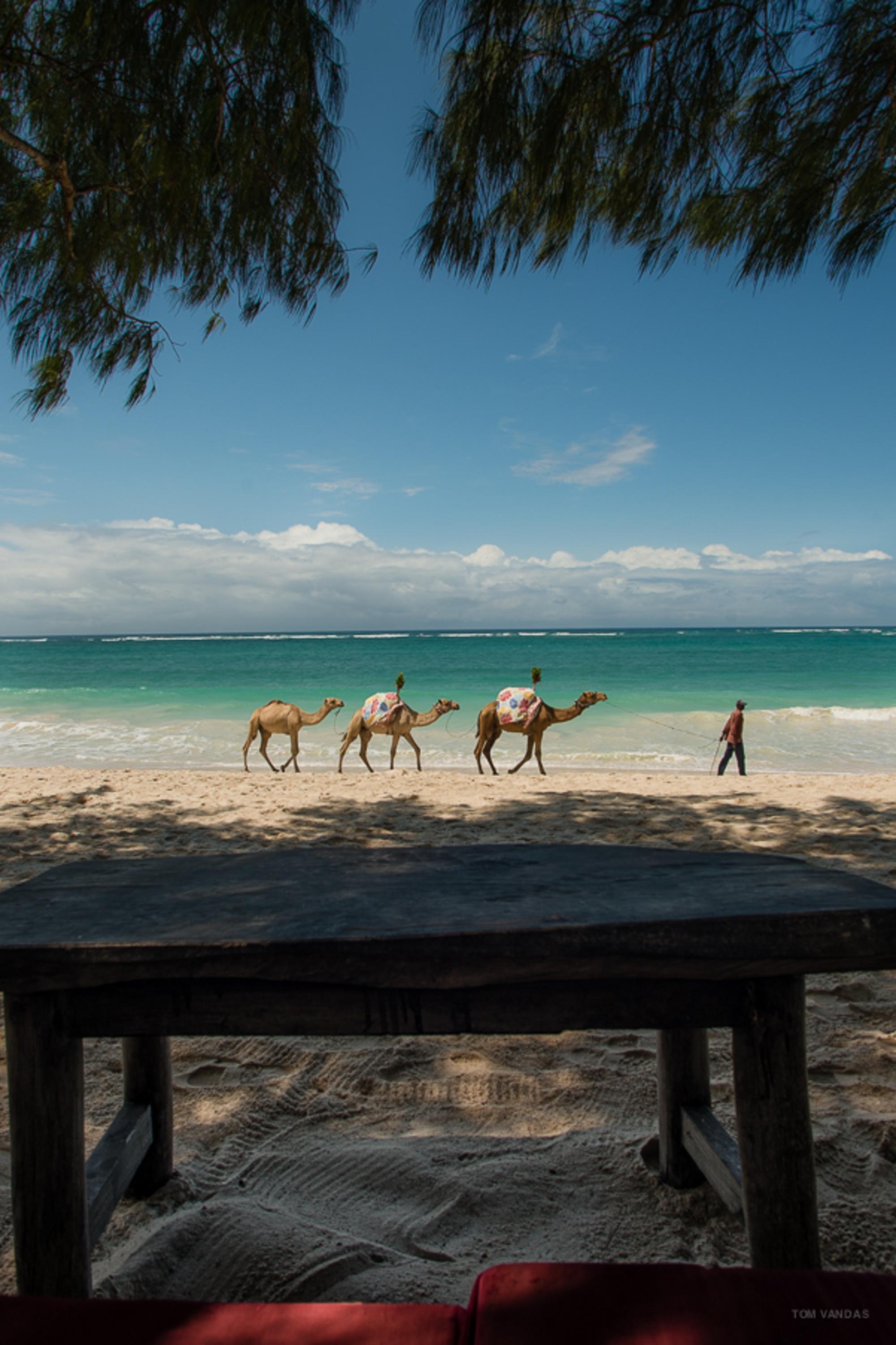 Bahari Dhow Beach Villas Praia de Diani Exterior foto